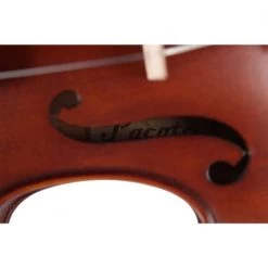 PAGANINO Allegro Violin Set 12 PAGANINO Allegro Violin Set -Violin Haven Shop 0377949f9188ab33c3bf2d4790f1ad00 23057