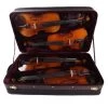 PACATO Quadriga Violin Case -Violin Haven Shop 10e3fb30e40660836ca70afb916ff934 700448 quatterna full
