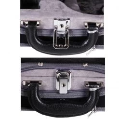 PACATO Paisley Deluxe Violin Case -Violin Haven Shop 2458bbc60a10d6389f995c1c903d4657 700687 pacato5