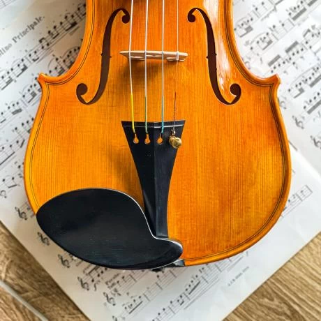 Conrad GÖTZ Vermeer Chin Rest 8 Conrad GÖTZ Vermeer Chin Rest - Image 6