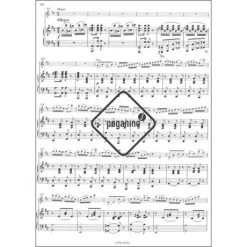 Rieding, O.: Concertino Op. 25 D-Dur (+CD) -Violin Haven Shop 4b89f9550890a223dc13068ab352d29d 30157pzj