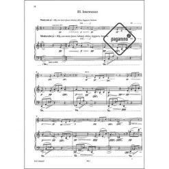 Silvestrov, V.: 5 Stücke -Violin Haven Shop 509221cd6c3914652faa1bbc7b354e4c 13461pzj