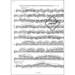 Flesch, C: Das Skalensystem Für Violine -Violin Haven Shop 602c1f47236f4afbfd3f6c98e58e52e3 14925pzj