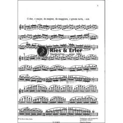 Flesch, C: Das Skalensystem Für Violine -Violin Haven Shop 602c1f47236f4afbfd3f6c98e58e52e3 5005pzj