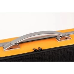 LA DÉFENSE Oblong Violin Case By BAM -Violin Haven Shop 6d7c3fef14d2ff29fe20ee3ee90bc5f7 710069 3