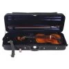 PAGANINO Classic Violin Set -Violin Haven Shop 7fae6a0ed1f7e9a9274ccda65f859408 27978