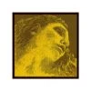 EVAH PIRAZZI GOLD Violin String E By Pirastro -Violin Haven Shop 80373e165f0ea554f2cfb240cf839b16 18382