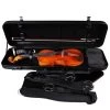 GEWA Idea 1.8 Violin Case -Violin Haven Shop 946f3bf18282012858a2d5dd581f4d95 700265 gewa