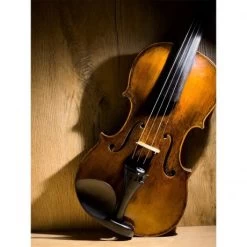 GÖTZ Guarneri Chinrest -Violin Haven Shop a83d8ee4ce7e44913f6d51c883090c52 504135 5