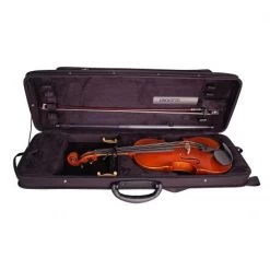 RIBONI «uno E Otto» Colour Violin Case -Violin Haven Shop ad3ff0d46c98562fc4ab63c384286faf 700525 detail