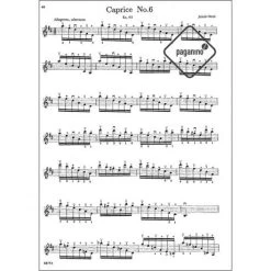 Ricci, R.: Left Hand Violin Technique 7 Ricci, R.: Left Hand Violin Technique -Violin Haven Shop cfb8ea068167cb92ba39a64cf37b48fa 7448pzj