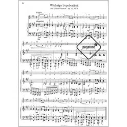 Das Schumann-Album Für Die Violine Band 1 -Violin Haven Shop d764a4468522bbdfa6ee07d4c9e2be6a 18795pzj