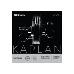 VIVO Violin String D By Kaplan