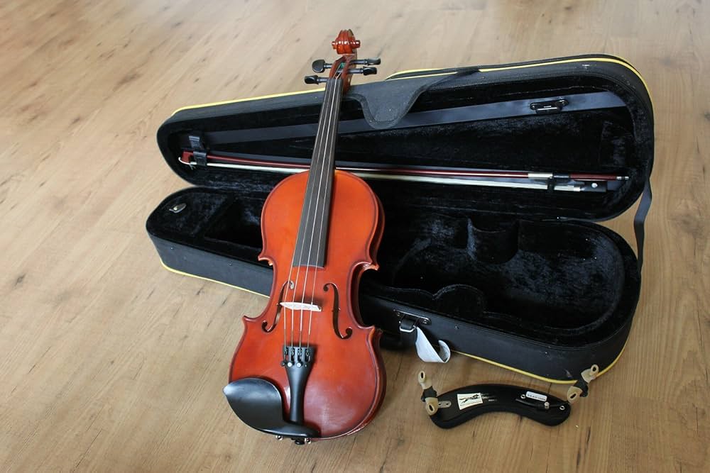 Violin Haven Shop -Violin Haven Shop 81pplayI oL. AC UF10001000 QL80